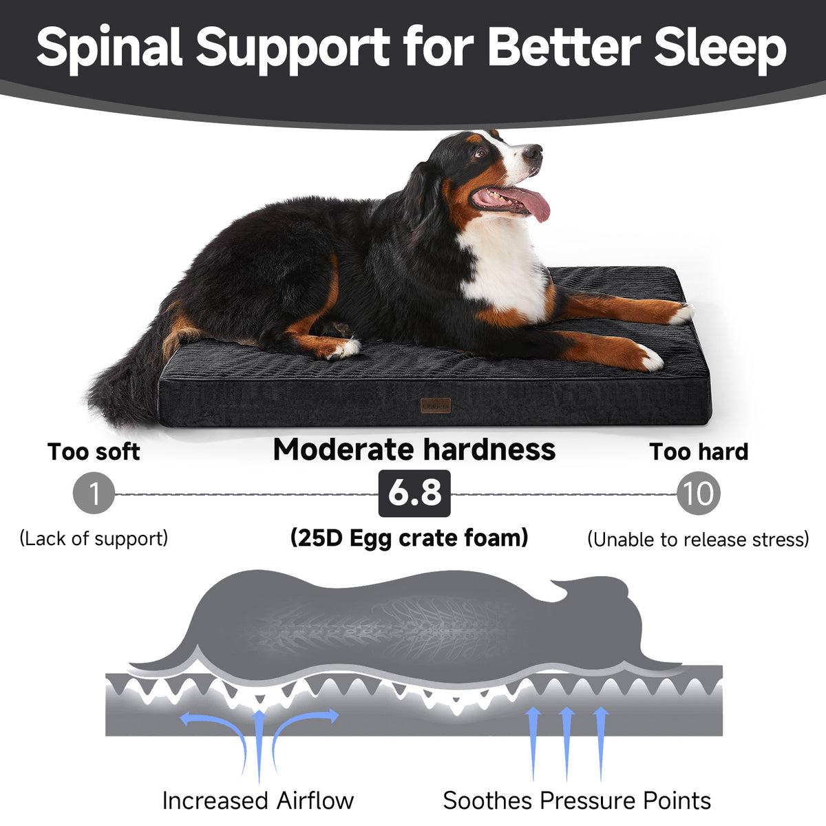 OhGeni | Flat Dog Bed | 47" | Black - aborderproducts