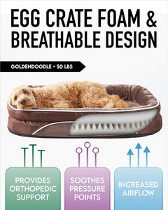 Orthopedic Dog Bed| X-Large (42 x 31 x 7 Inch)|Brown|OhGeni - aborderproducts