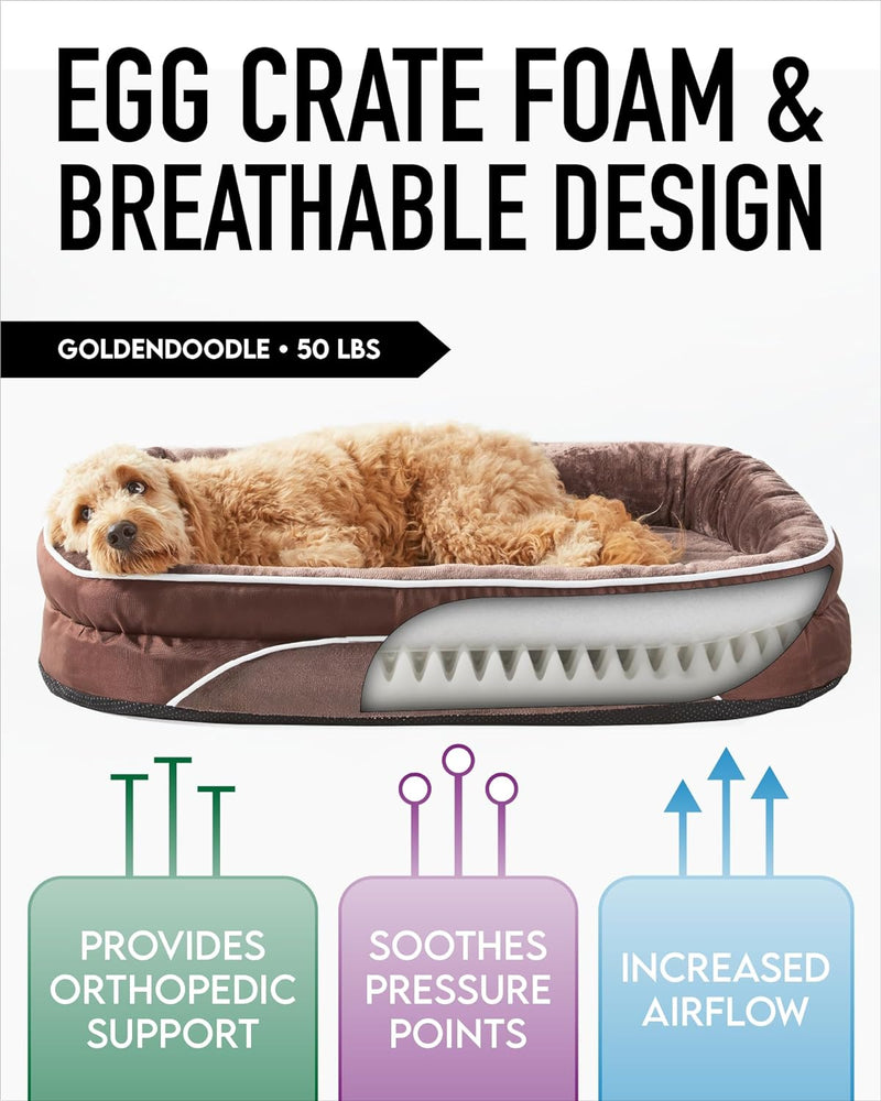 Orthopedic Dog Bed| X-Large (42 x 31 x 7 Inch)|Brown|OhGeni-zoom-