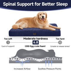 OhGeni | Orthopedic Waterproof & Machine Washable Dog Bed | 41 Inches | Navy - aborderproducts