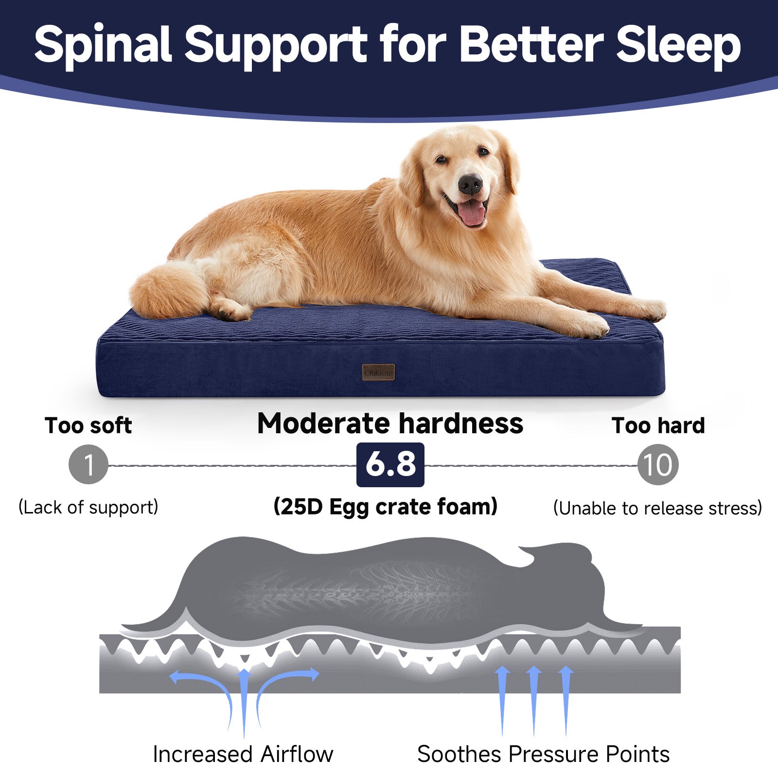 OhGeni | Orthopedic Waterproof & Machine Washable Dog Bed | 41 Inches | Navy - aborderproducts