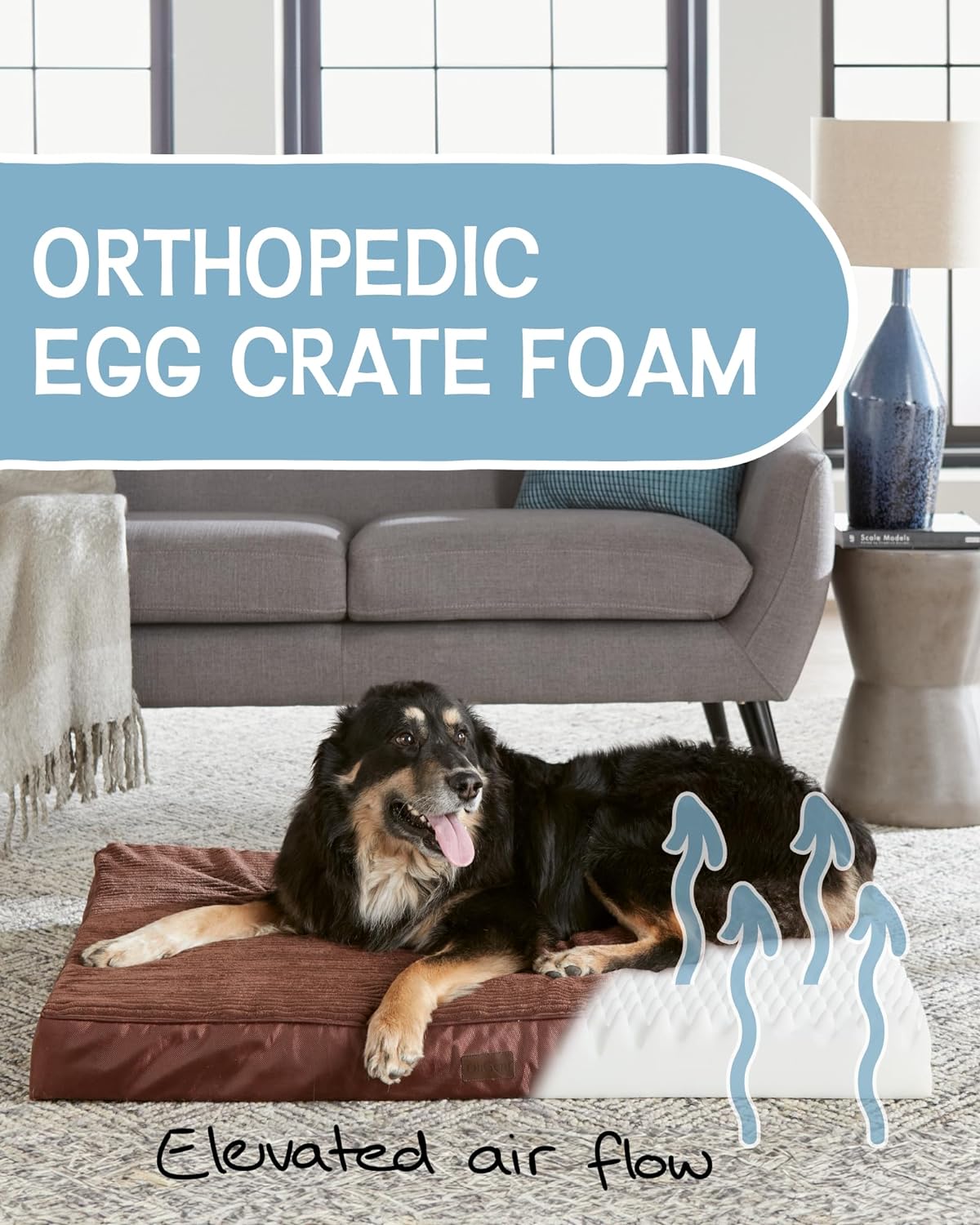 Dog Bed with Egg Crate Foam| X-Large (41 x 28 x 4 Inch)|Brown|OhGeni