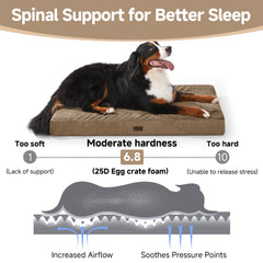 OhGeni | Orthopedic Waterproof & Machine Washable Dog Bed | 47 Inches | Coffee - aborderproducts