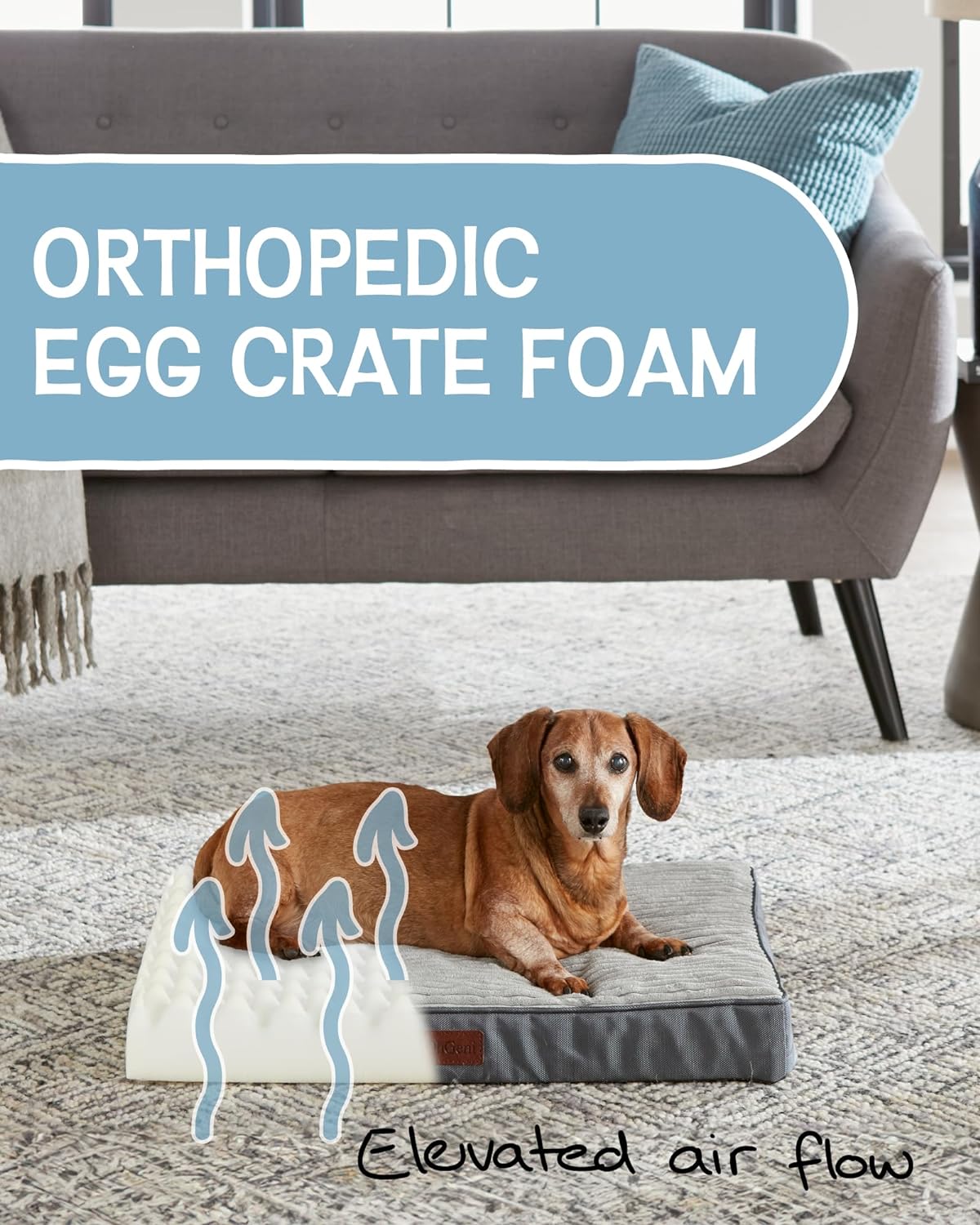 Dog Bed with Egg Crate Foam| Small (24 x 16 x 3 Inch)|Gray|OhGeni - aborderproducts