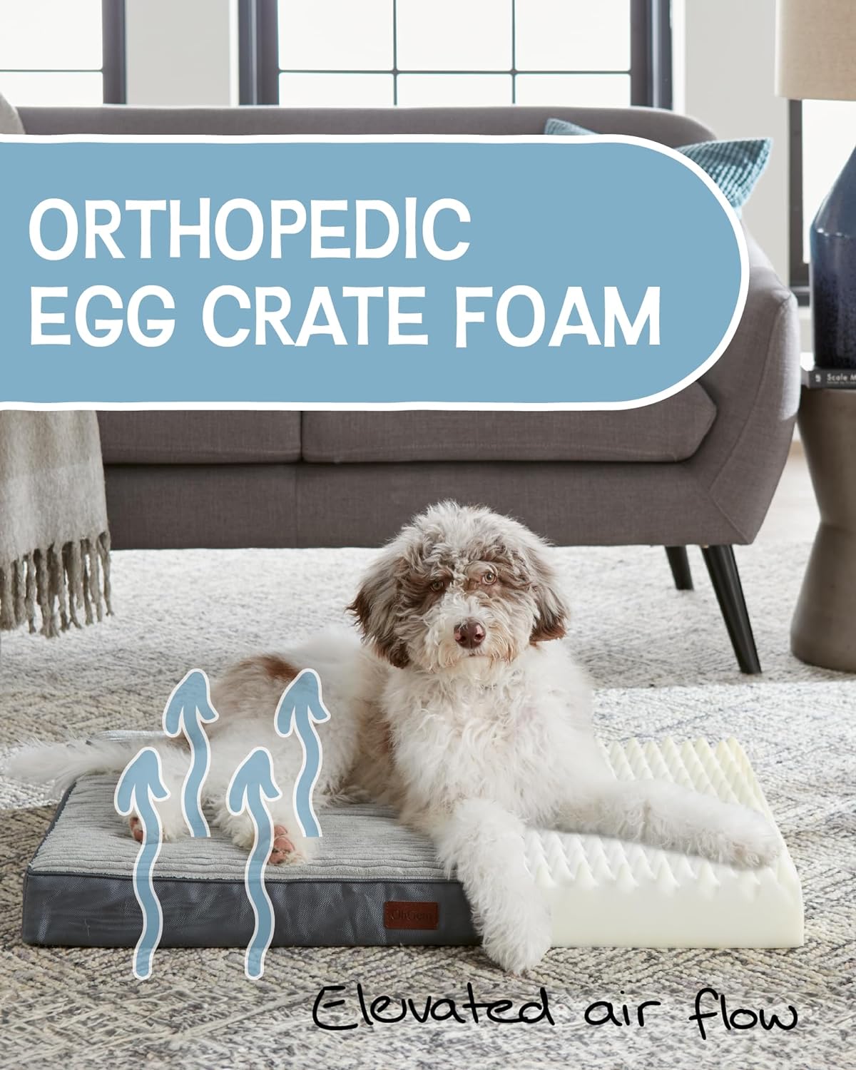 Dog Bed with Egg Crate Foam| Large (35 x 22 x 3.5 Inch)|Gray|OhGeni - aborderproducts