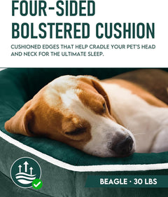 OhGeni | Orthopedic Dog Bed | Large (35 x 28 x 6 Inch) | Dark Green - aborderproducts