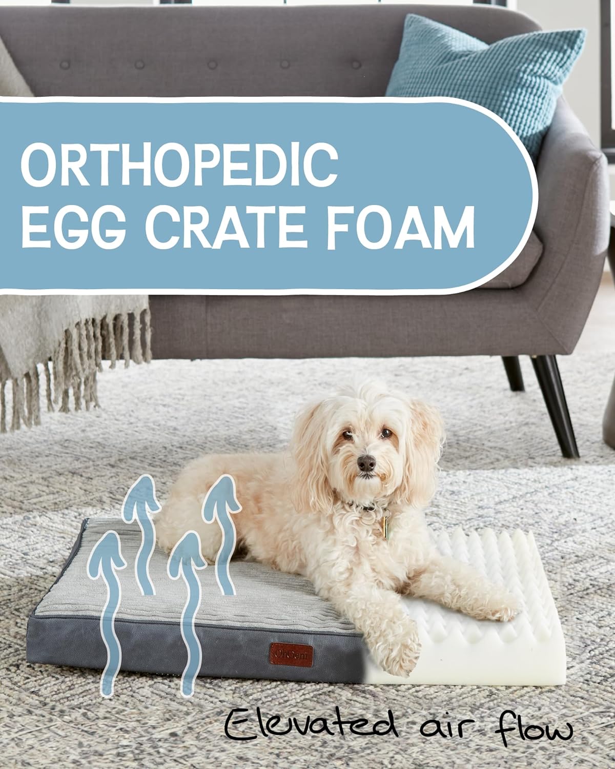 Dog Bed with Egg Crate Foam| Medium (30 x 20 x 3 Inch)|Gray|OhGeni - aborderproducts