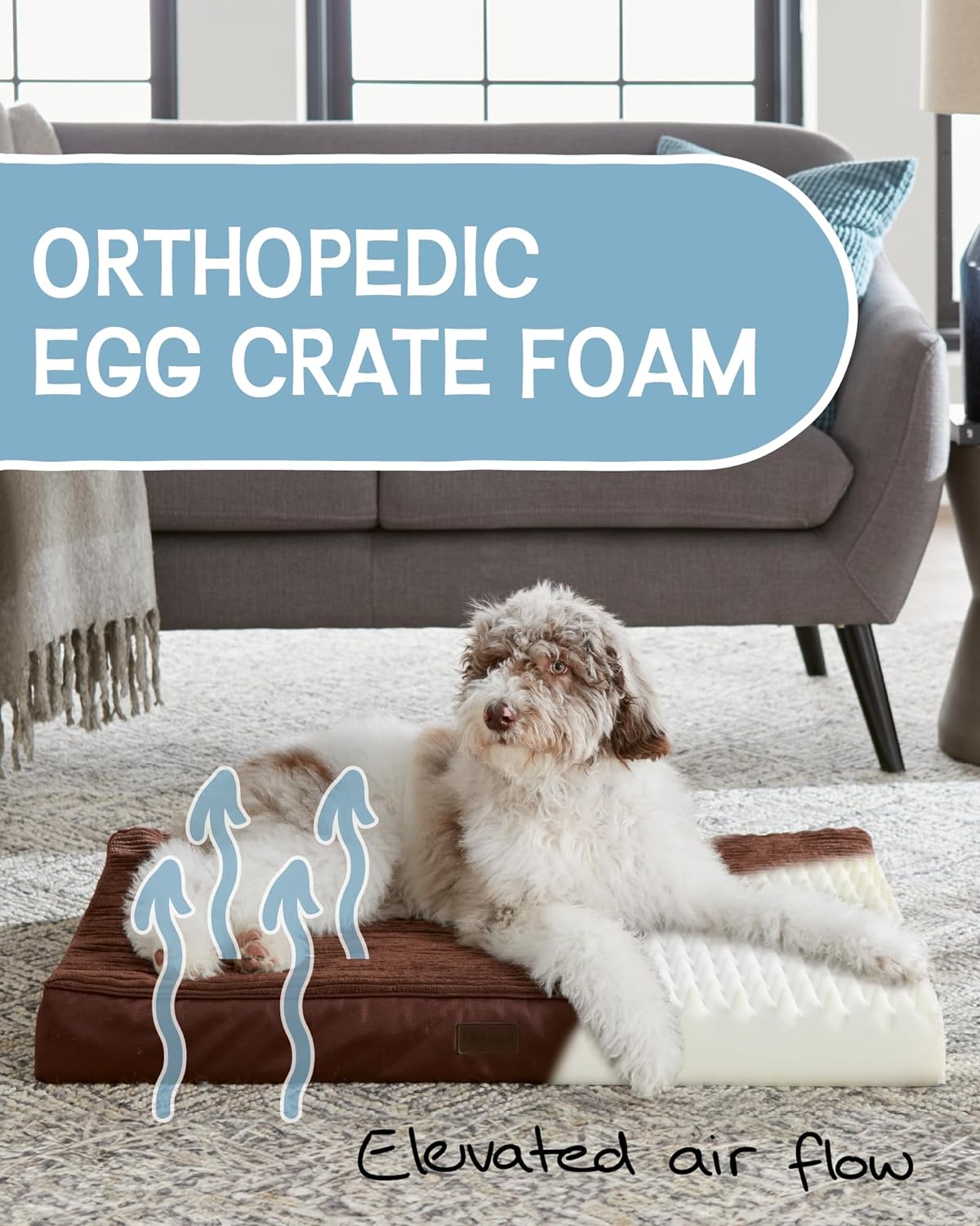 Dog Bed with Egg Crate Foam| Large (35 x 22 x 3.5 Inch)|Brown|OhGeni - aborderproducts