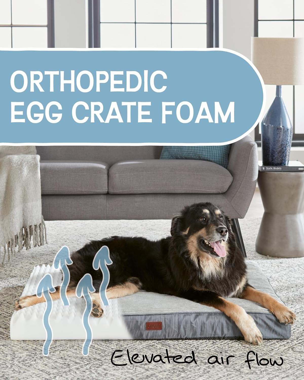 Dog Bed with Egg Crate Foam| X-Large (41 x 28 x 4 Inch)|Gray|OhGeni - aborderproducts