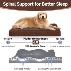 OhGeni | Orthopedic Waterproof & Machine Washable Dog Bed | 44 Inches | Brown - aborderproducts