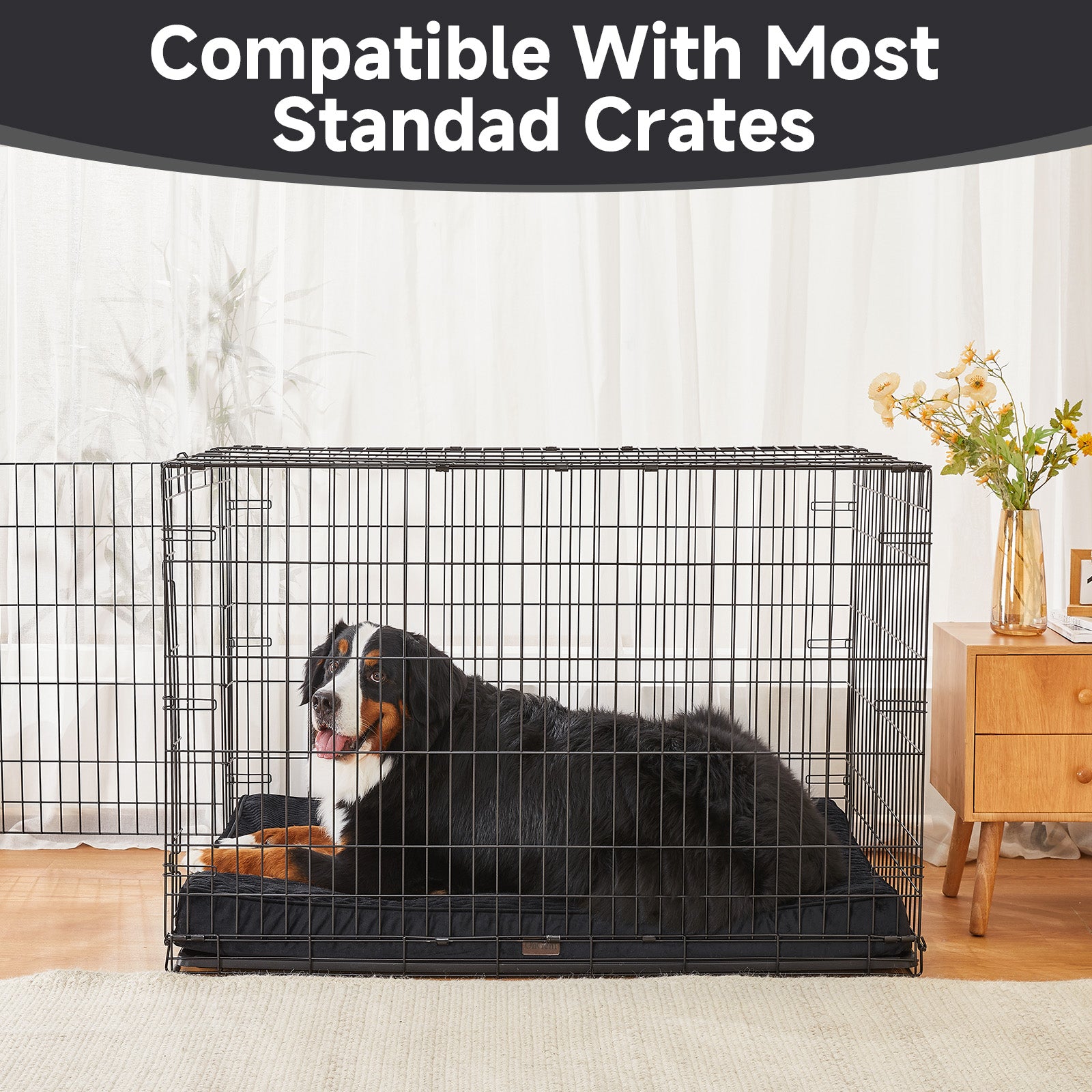 OhGeni | Flat Dog Bed | 47" | Black - aborderproducts