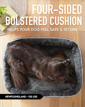 Orthopedic Dog Bed| XX-Large (48 x 35 x 7.5 Inch)|Gray|OhGeni - aborderproducts
