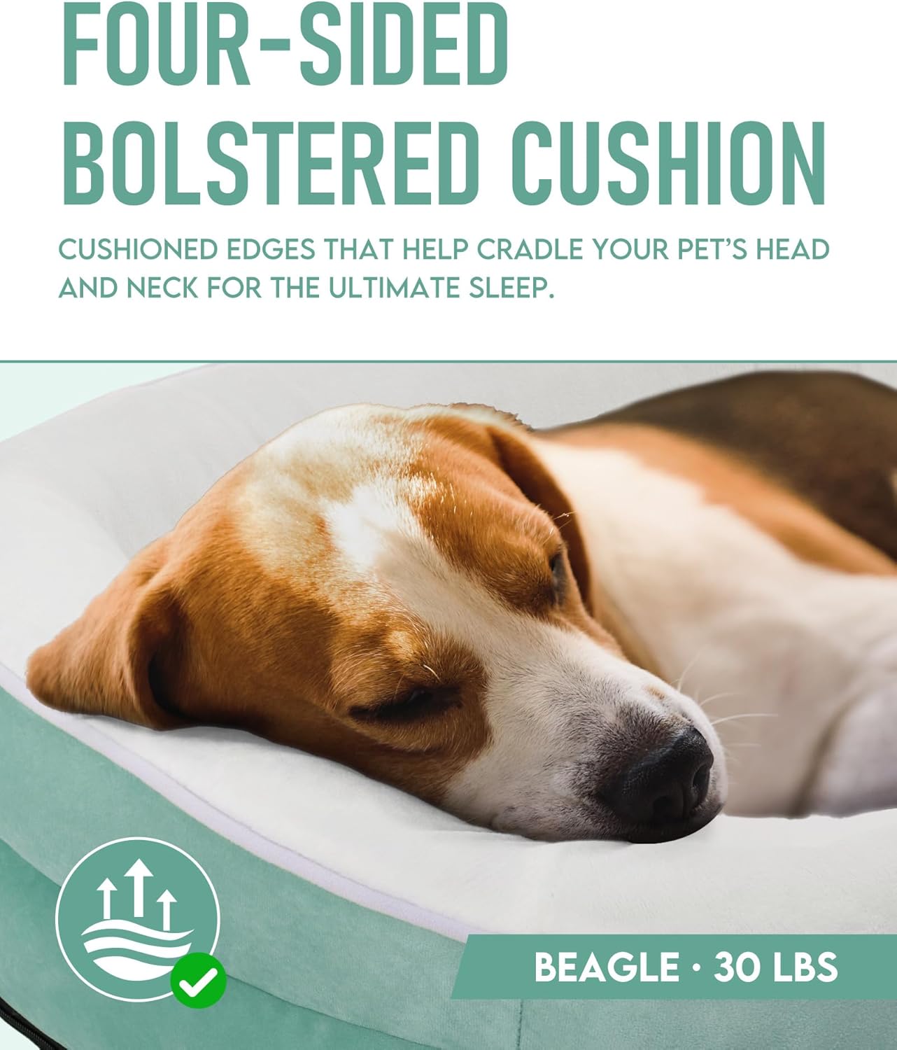 OhGeni | Orthopedic Dog Bed | Large (35 x 28 x 6 Inch) | Turquoise - aborderproducts