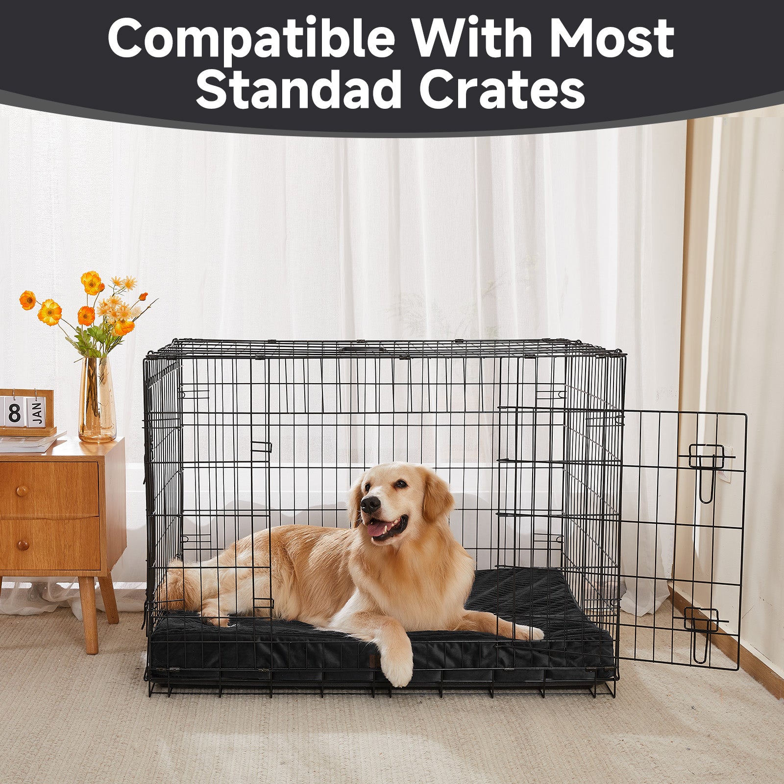 OhGeni | Flat Dog Bed | 41" | Black - aborderproducts