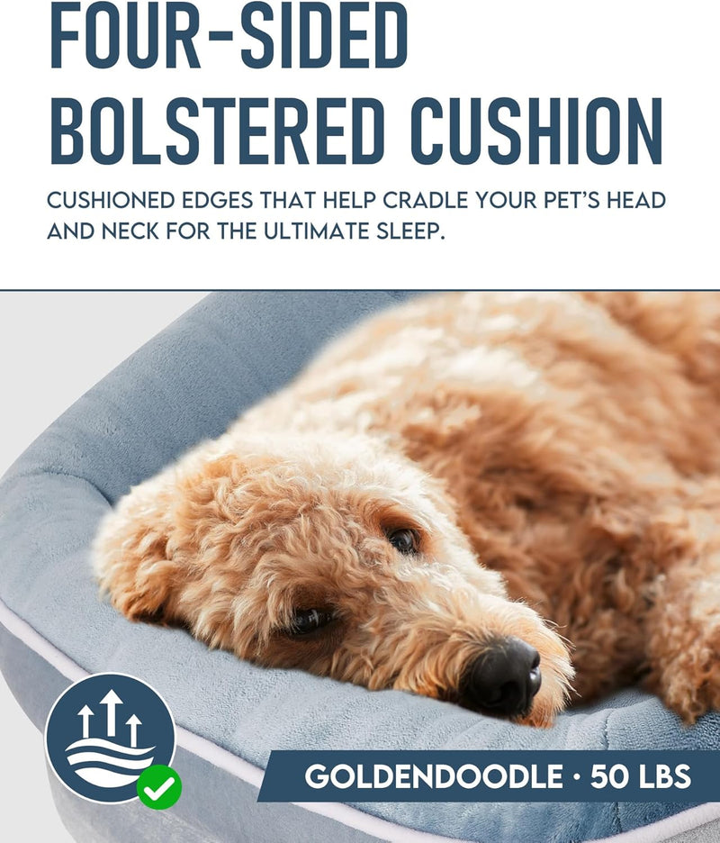 OhGeni | Orthopedic Dog Bed | X-Large (42 x 31 x 7 Inch) | Washed Blue-zoom-