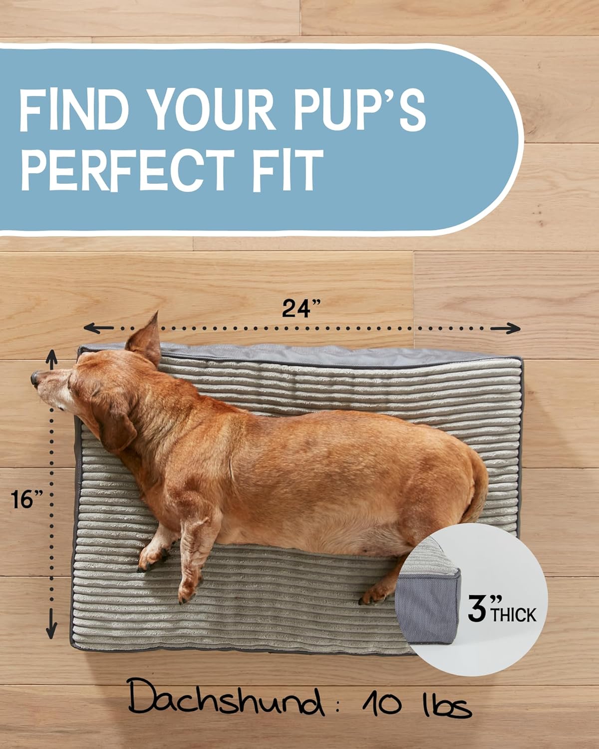 OhGeni | Orthopedic Waterproof Dog Bed | 24 Inch | Gray - aborderproducts