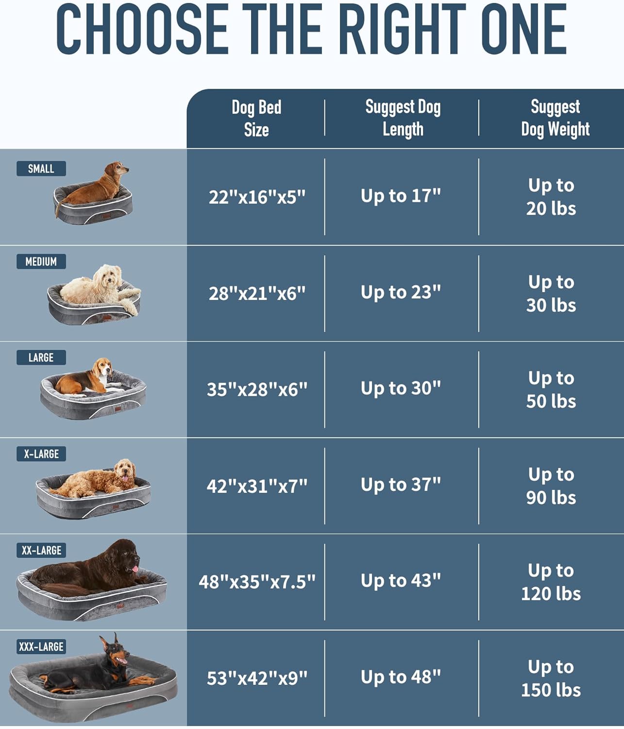 OhGeni | Orthopedic Dog Bed | X-Large (42 x 31 x 7 Inch) | Washed Blue - aborderproducts