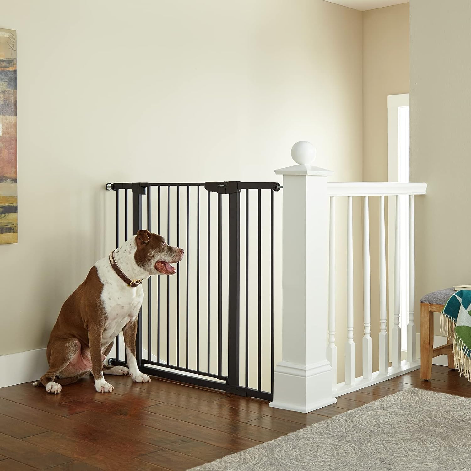 CUMBOR | SAFETY GATE | 29.7-46"W x 36"H | Black - aborderproducts