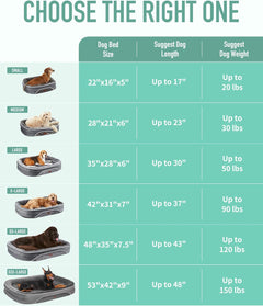 OhGeni | Orthopedic Dog Bed | Large (35 x 28 x 6 Inch) | Turquoise - aborderproducts