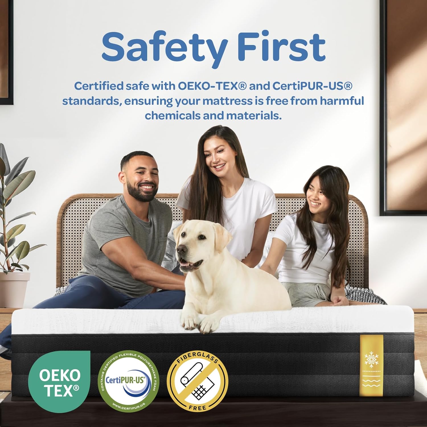 OhGeni | Foam Mattress | 75"L x 39"W x 8"H | Twin - aborderproducts