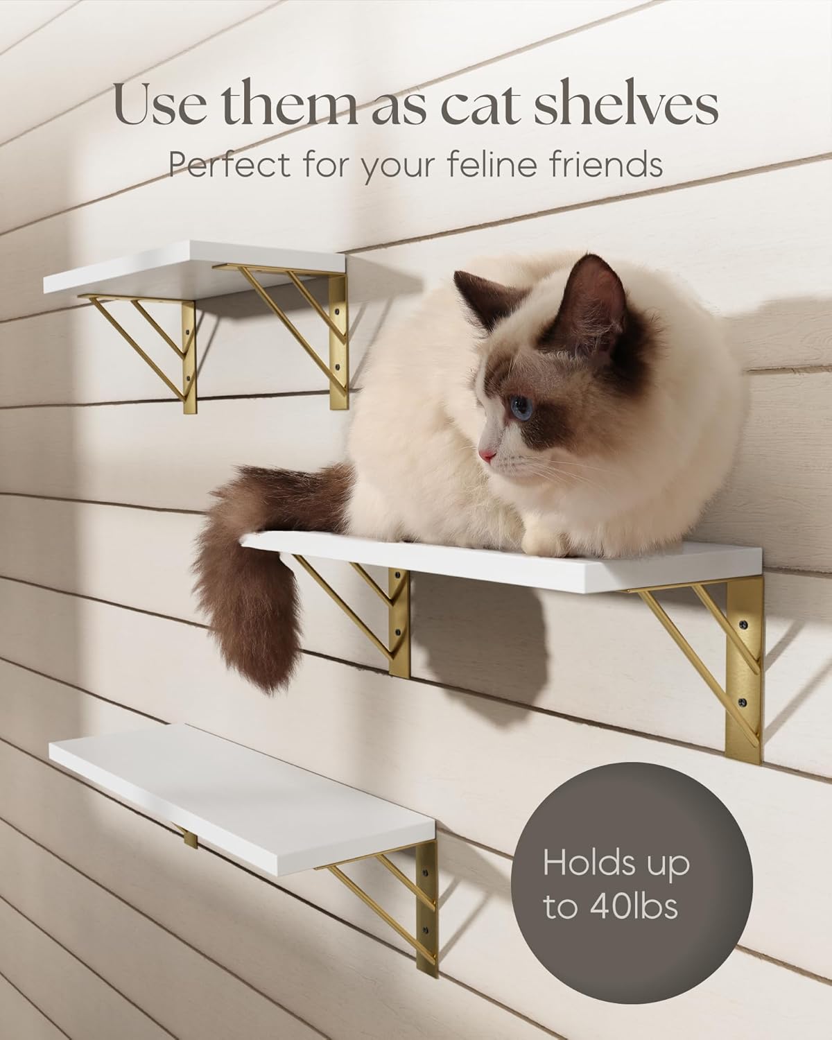 BAYKA | Floating Shelves | Set of 3 | White and Gold - aborderproducts