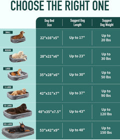 OhGeni | Orthopedic Dog Bed | Large (35 x 28 x 6 Inch) | Dark Green - aborderproducts