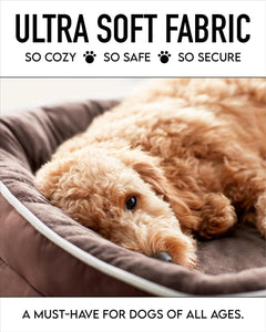 Orthopedic Dog Bed| X-Large (42 x 31 x 7 Inch)|Brown|OhGeni - aborderproducts