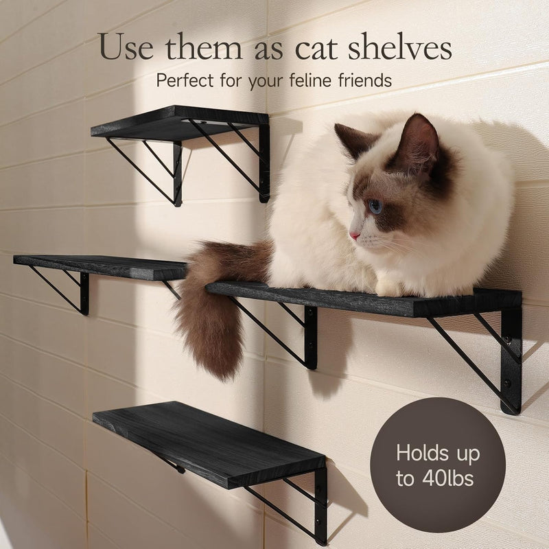 BAYKA  | Floating Shelves | Set of 4 | Black-zoom-