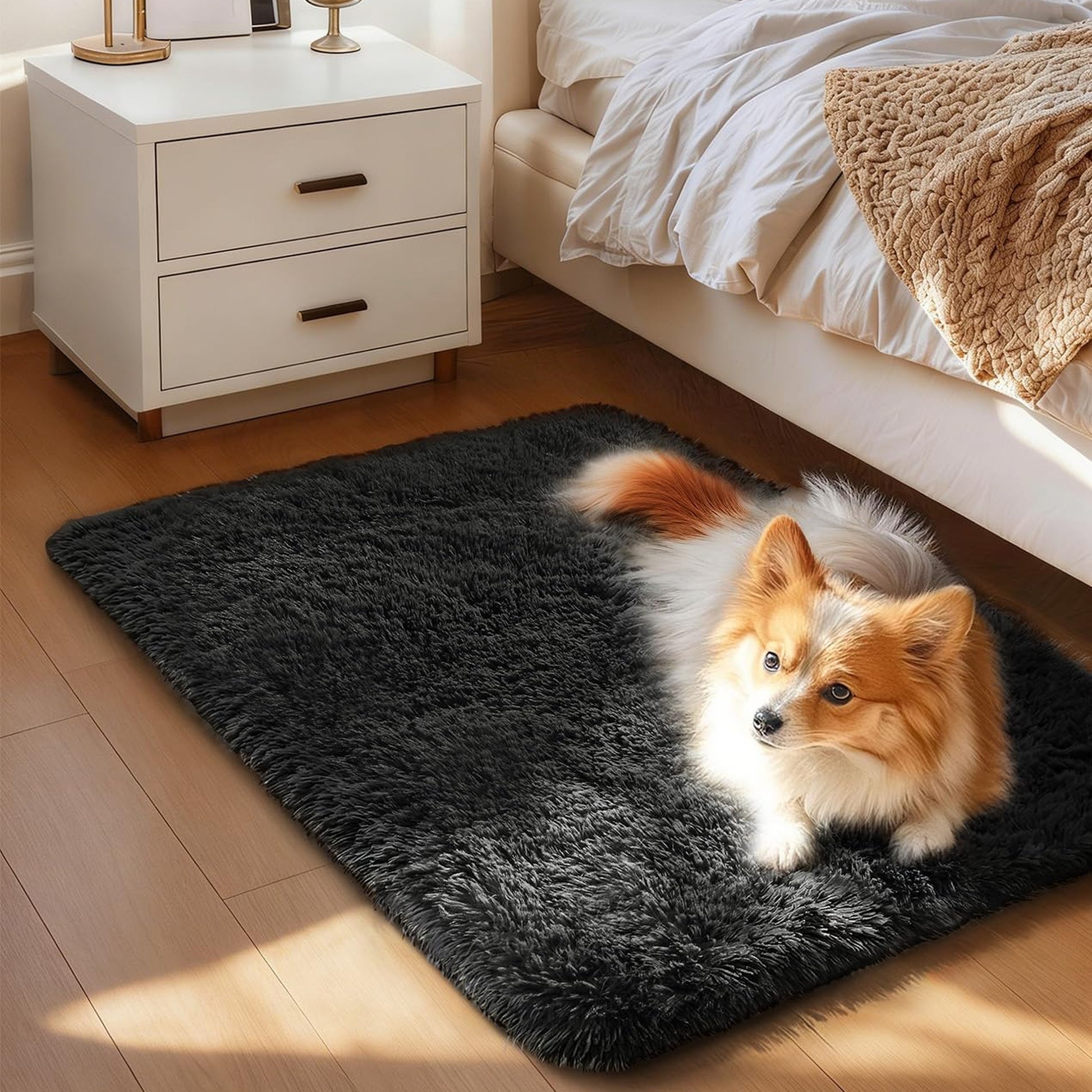 Ophanie 1.5' x 2.5' Fluffy Soft Washable Non-Slip Area Rug - Black-2