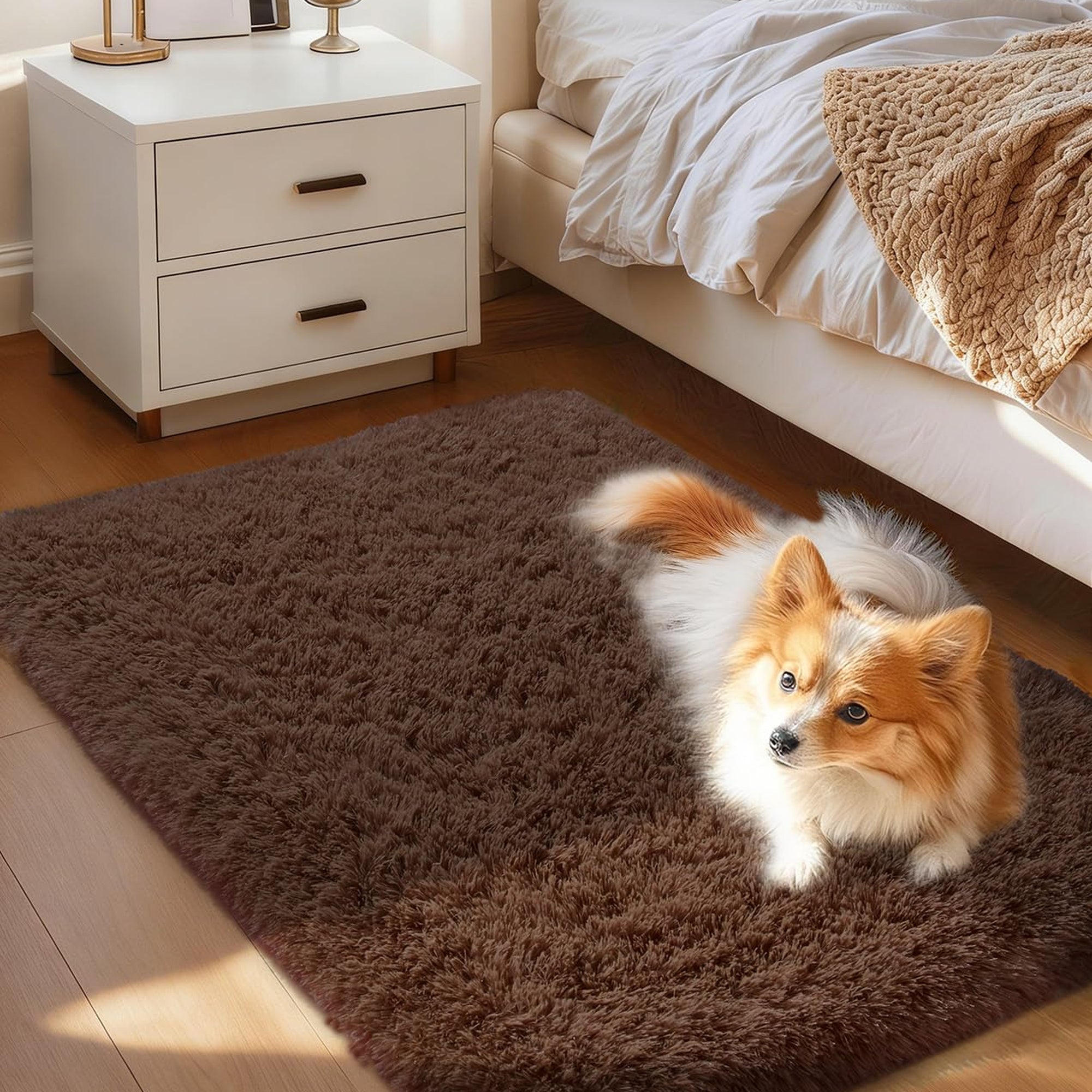 Ophanie 2' x 3' Fluffy Soft Washable Non-Slip Area Rug - Brown