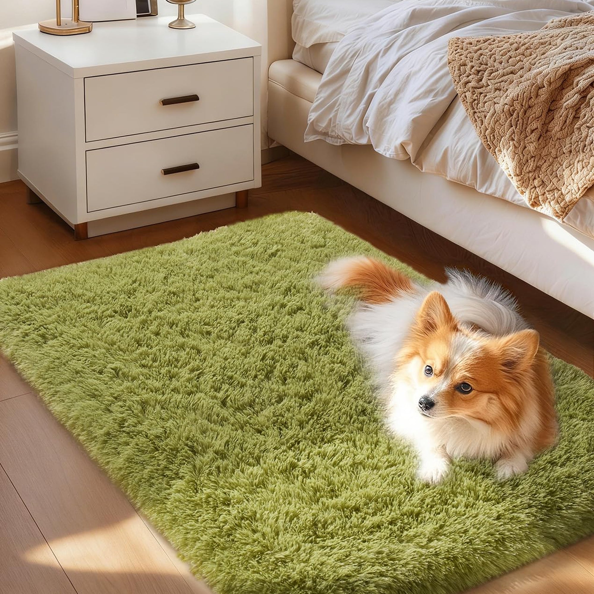 Ophanie 2' x 3' Fluffy Soft Washable Non-Slip Area Rug - Green