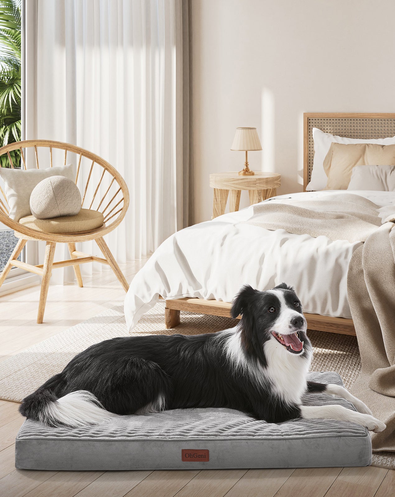 OhGeni | Flat Dog Bed | 35" | Gray - aborderproducts