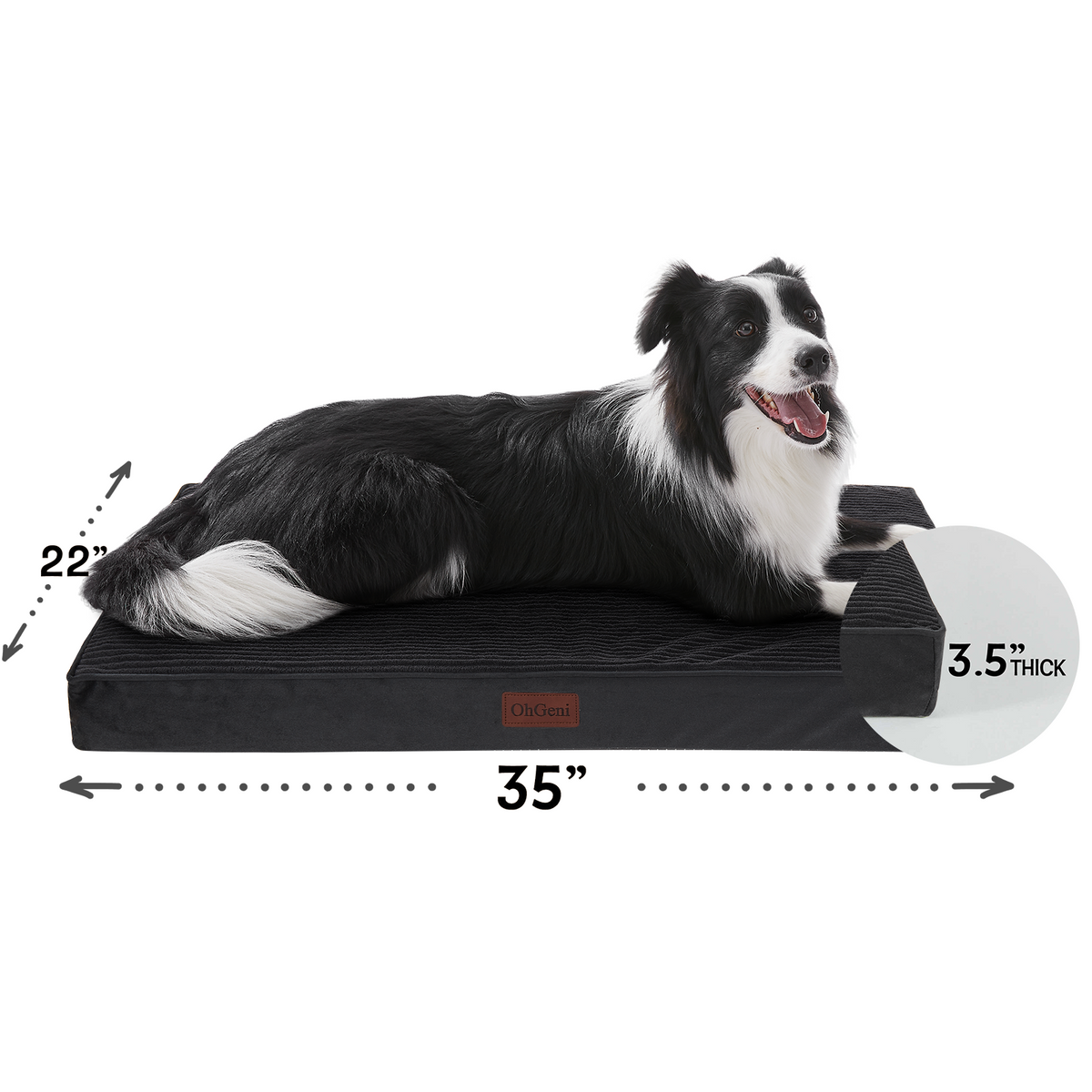 OhGeni | Flat Dog Bed | 35" | Black - aborderproducts