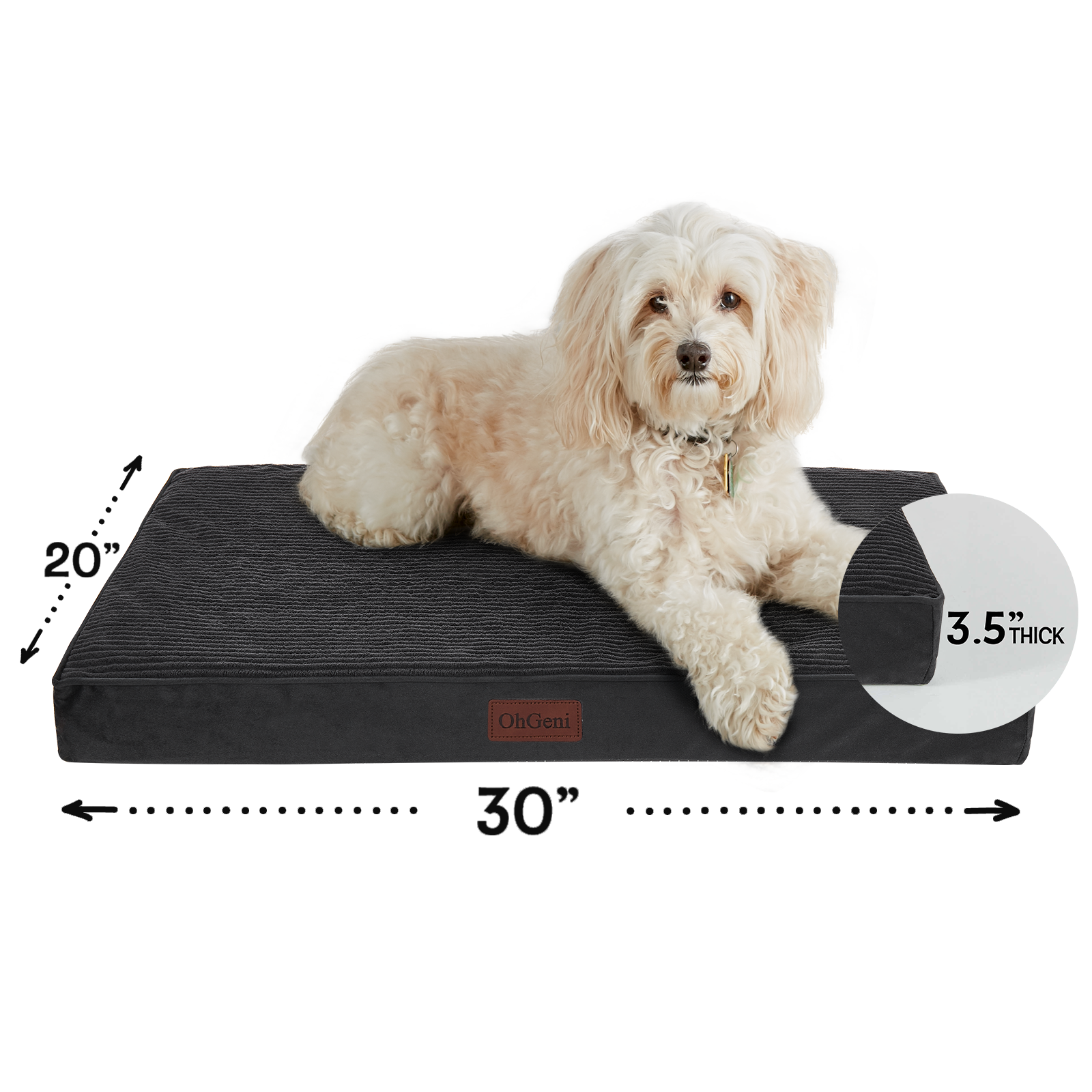 OhGeni | Flat Dog Bed | 30" | Black - aborderproducts
