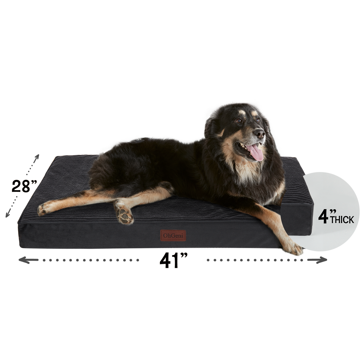 OhGeni | Flat Dog Bed | 41" | Black - aborderproducts