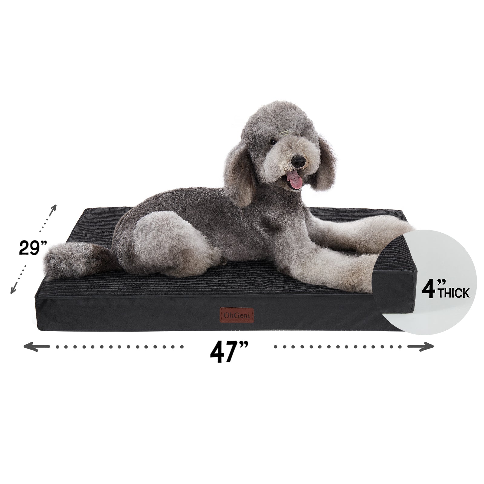 OhGeni | Flat Dog Bed | 47" | Black - aborderproducts