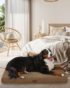 OhGeni | Orthopedic Waterproof & Machine Washable Dog Bed | 47 Inches | Coffee - aborderproducts