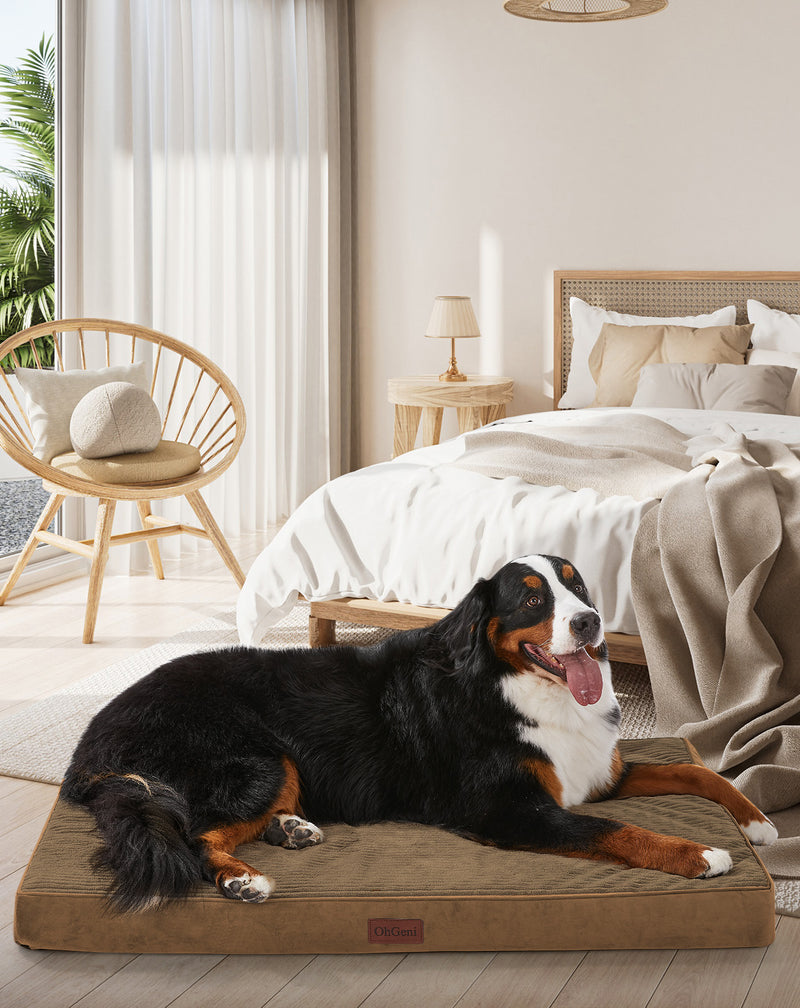 OhGeni | Orthopedic Waterproof & Machine Washable Dog Bed | 47 Inches | Coffee-zoom-