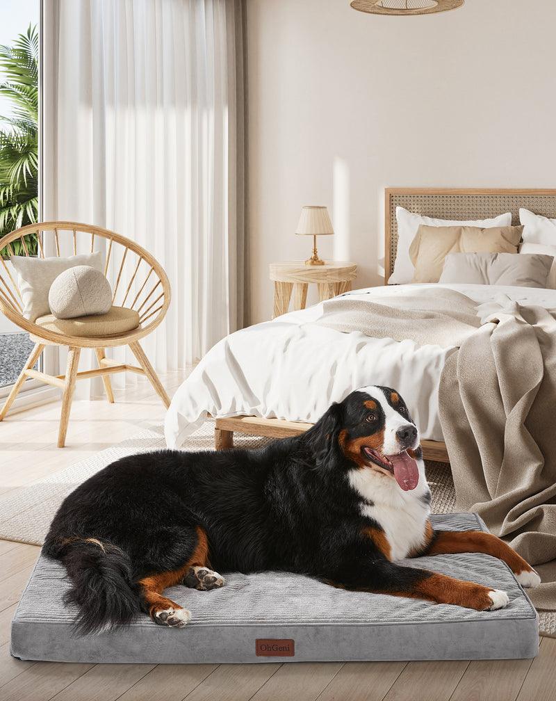 OhGeni | Flat Dog Bed | 47" | Gray-zoom-