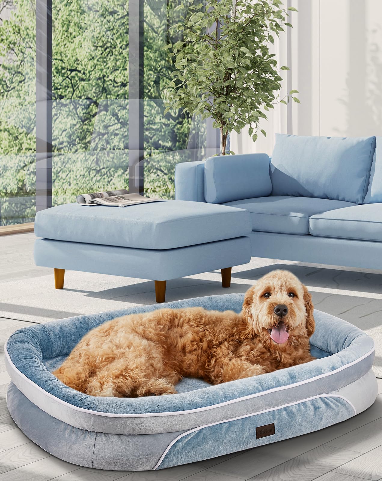 OhGeni | Orthopedic Dog Couch Bed |XL (42 x 31 x 7 Inch)| Washed Blue - aborderproducts
