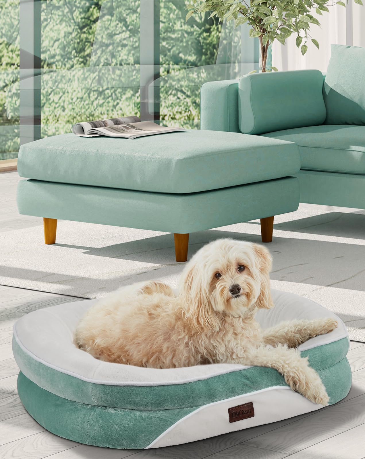 OhGeni | Orthopedic Dog Couch Bed | Medium (28 x 21 x 6 Inch)| Turquoise - aborderproducts
