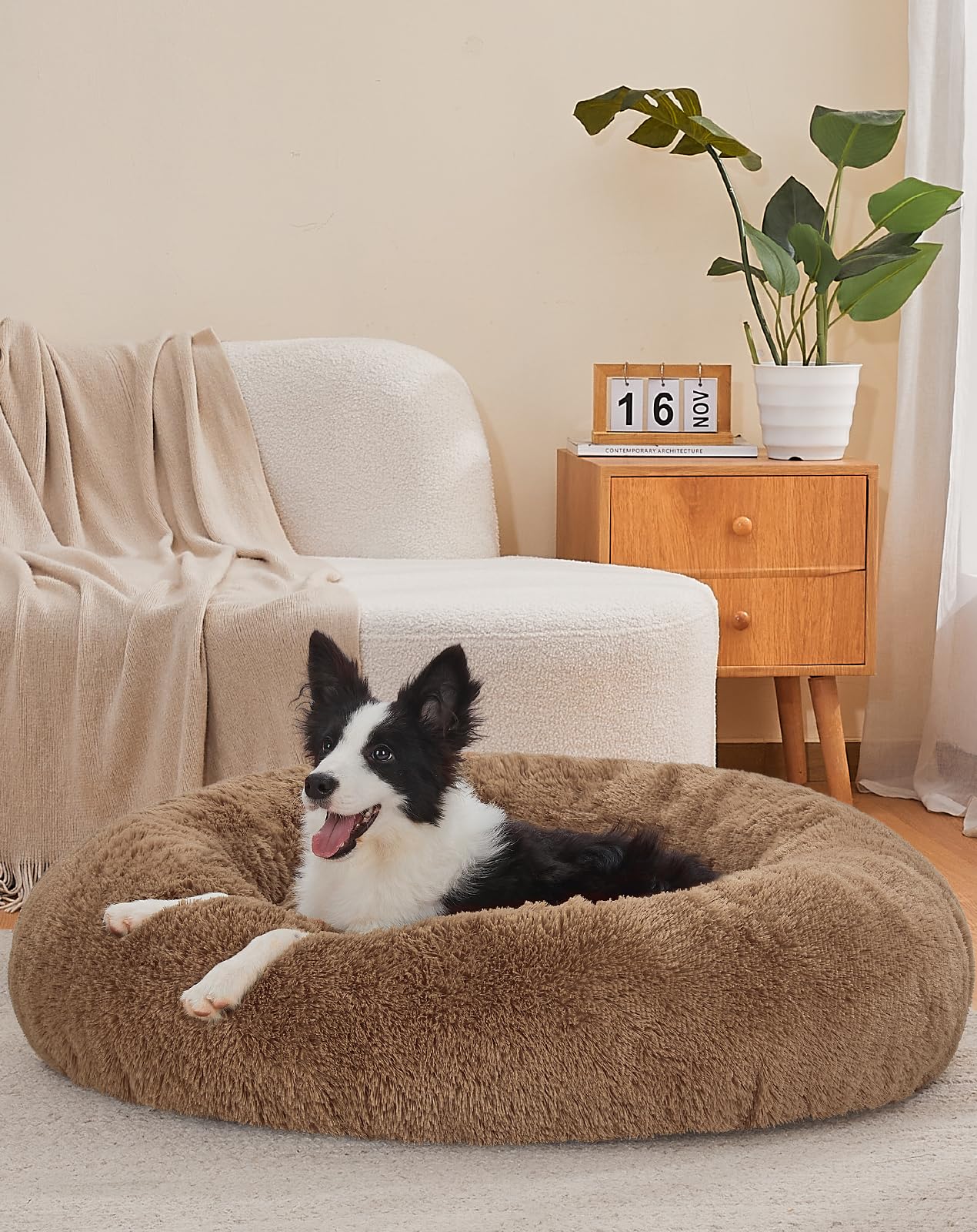 OhGeni Calming Donut Bed for Dogs and Cats | Large (36 x 36 x 8 Inch)| Ocher - aborderproducts