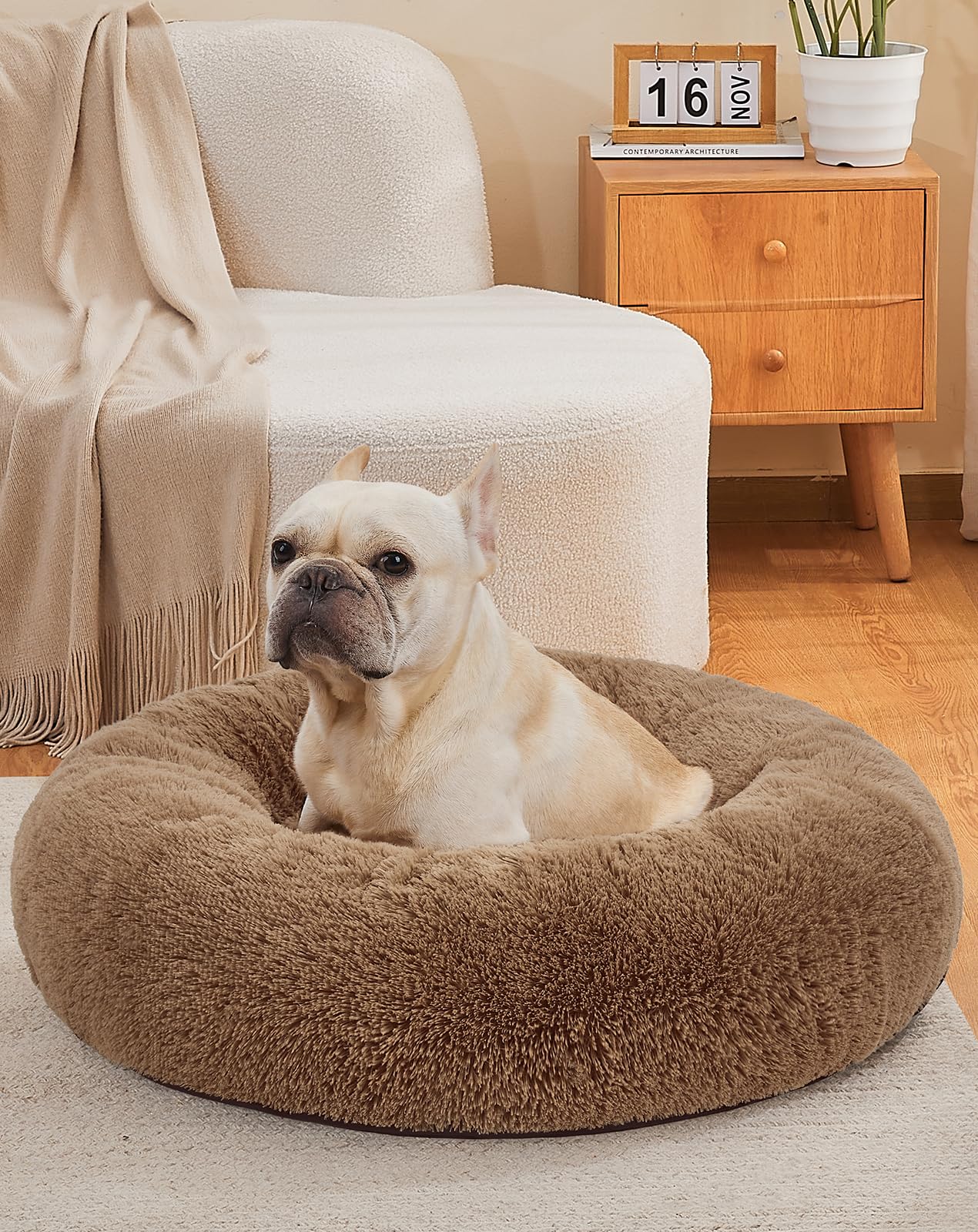 OhGeni Calming Donut Bed for Dogs and Cats | Medium (30 x 30 x 7 Inch)| Ocher