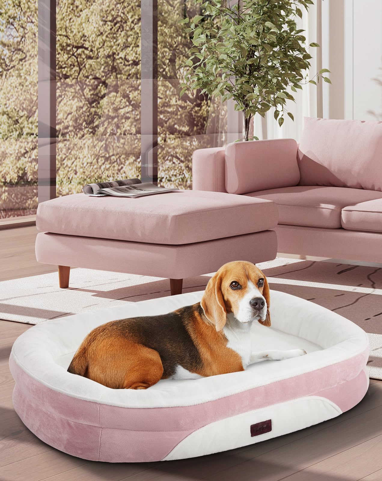 OhGeni | Orthopedic Dog Couch Bed | Large (35 x 28 x 6 Inch)| Pink - aborderproducts