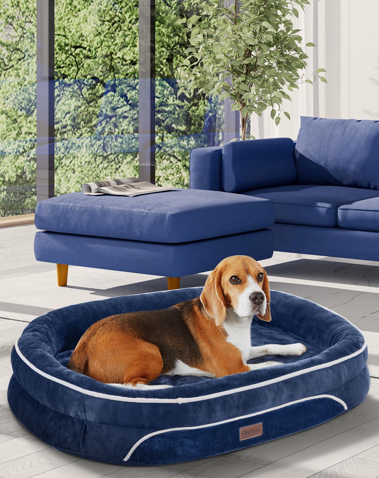 OhGeni | Orthopedic Dog Couch Bed | Large (35 x 28 x 6 Inch)| Blue - aborderproducts