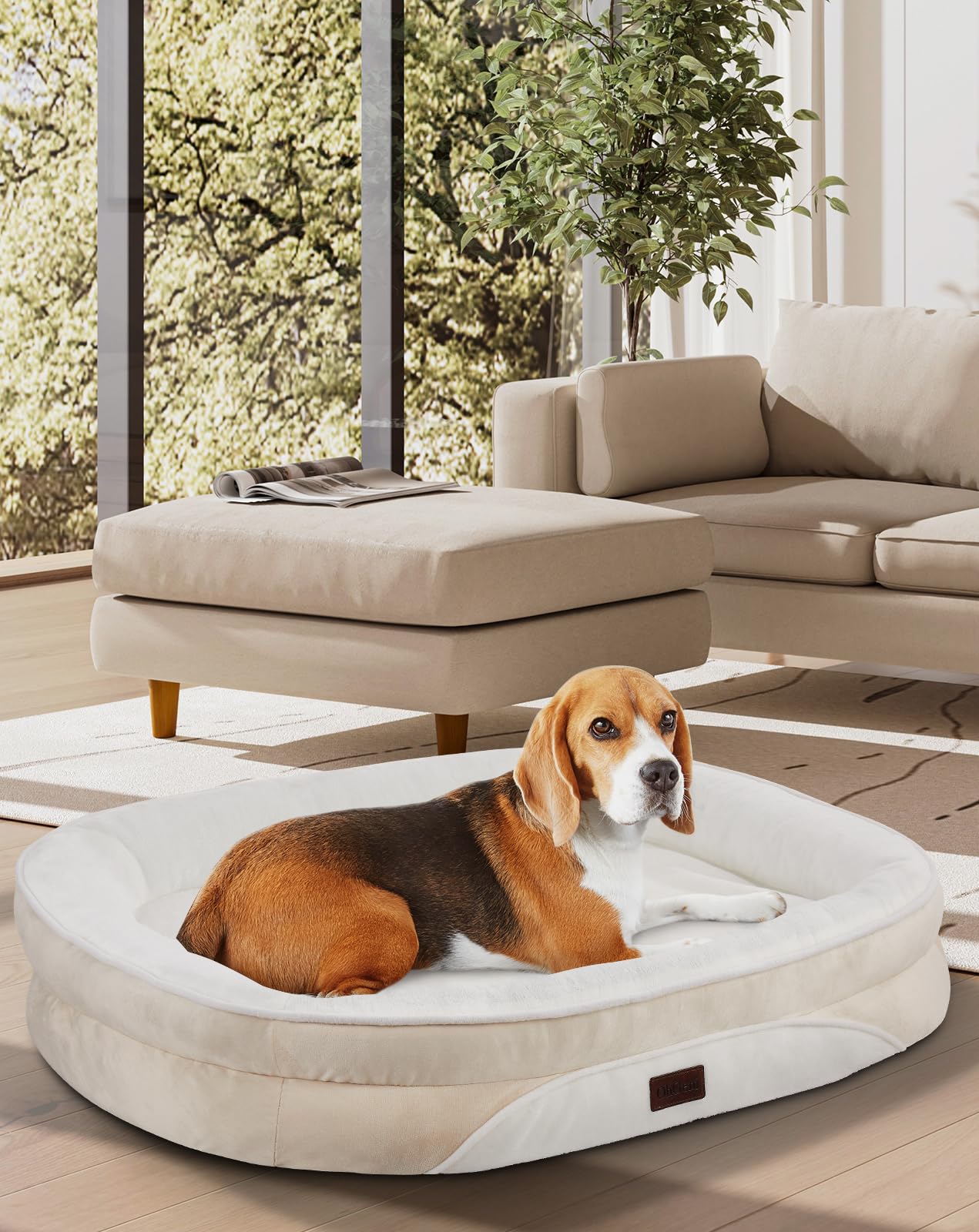 OhGeni | Orthopedic Dog Couch Bed | Large (35 x 28 x 6 Inch)|Beige - aborderproducts