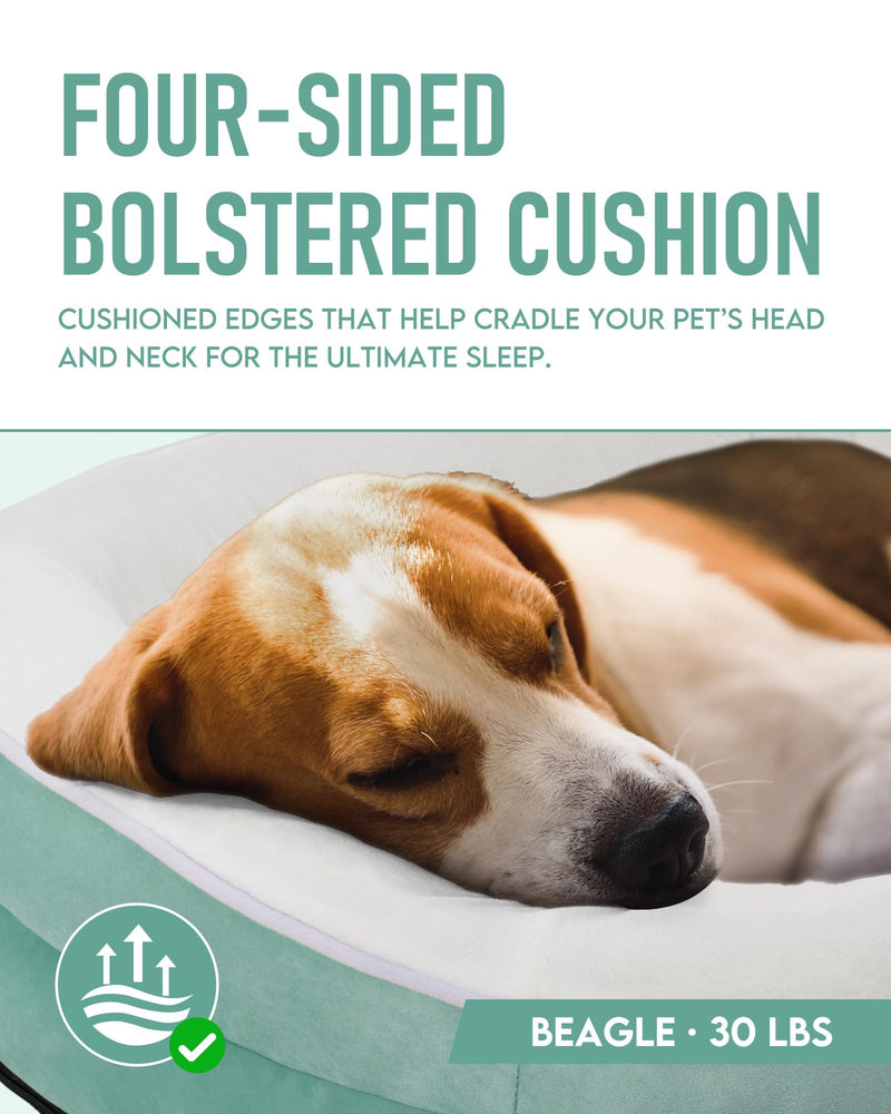 OhGeni | Orthopedic Dog Couch Bed | Large (35 x 28 x 6 Inch)| Turquoise-zoom-