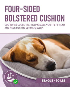 OhGeni | Orthopedic Dog Couch  Bed | Large (35 x 28 x 6 Inch)| Purple - aborderproducts