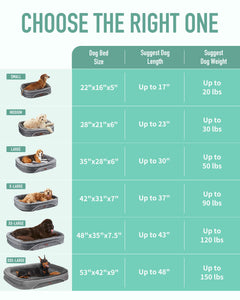 OhGeni | Orthopedic Dog Couch Bed | Large (35 x 28 x 6 Inch)| Turquoise - aborderproducts