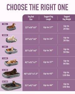 OhGeni | Orthopedic Dog Couch  Bed | Large (35 x 28 x 6 Inch)| Purple - aborderproducts